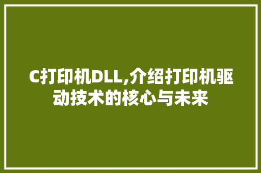 C打印机DLL,介绍打印机驱动技术的核心与未来