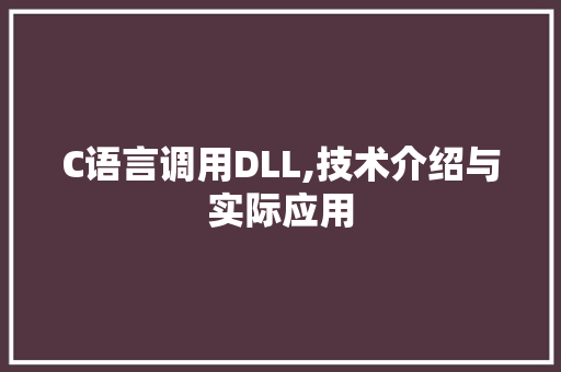 C语言调用DLL,技术介绍与实际应用 小程序开发