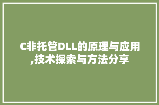 C非托管DLL的原理与应用,技术探索与方法分享 百度算法