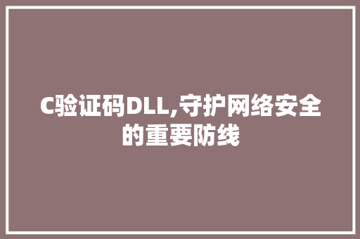 C验证码DLL,守护网络安全的重要防线