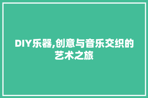DIY乐器,创意与音乐交织的艺术之旅