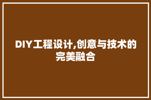 DIY工程设计,创意与技术的完美融合