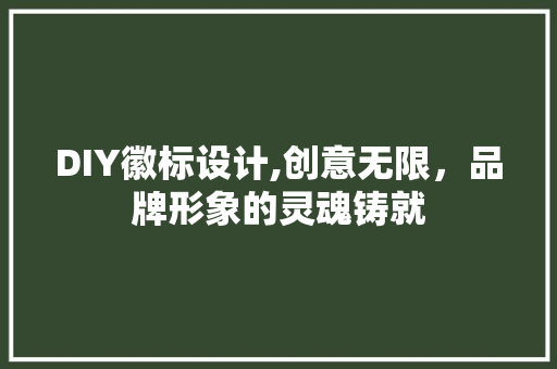 DIY徽标设计,创意无限，品牌形象的灵魂铸就 360搜优化