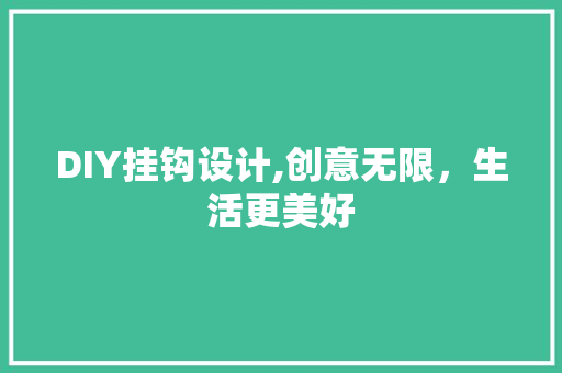 DIY挂钩设计,创意无限，生活更美好