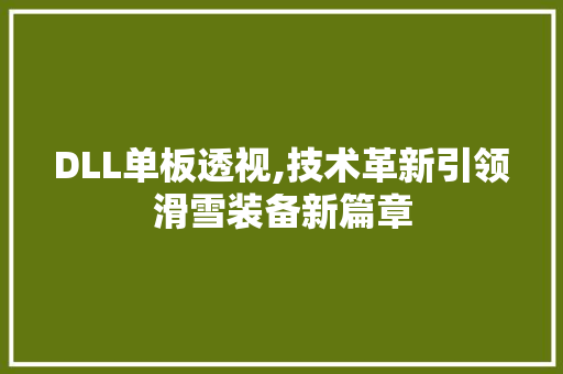 DLL单板透视,技术革新引领滑雪装备新篇章 网站优化