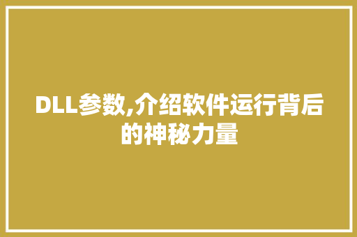 DLL参数,介绍软件运行背后的神秘力量