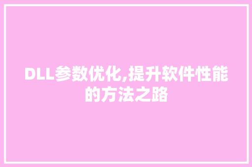 DLL参数优化,提升软件性能的方法之路