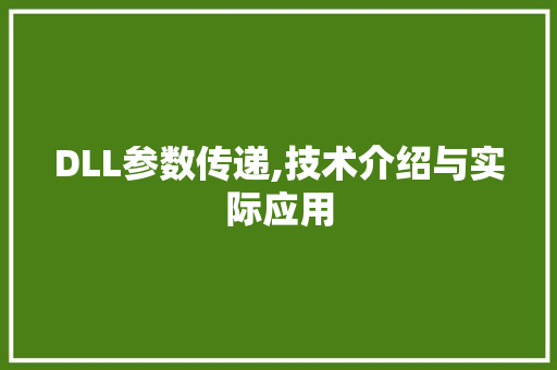 DLL参数传递,技术介绍与实际应用