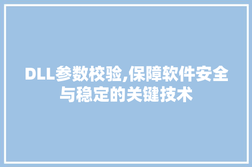 DLL参数校验,保障软件安全与稳定的关键技术 网站开发