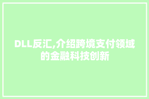 DLL反汇,介绍跨境支付领域的金融科技创新 网站优化
