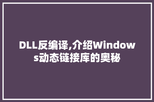 DLL反编译,介绍Windows动态链接库的奥秘