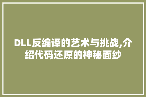 DLL反编译的艺术与挑战,介绍代码还原的神秘面纱