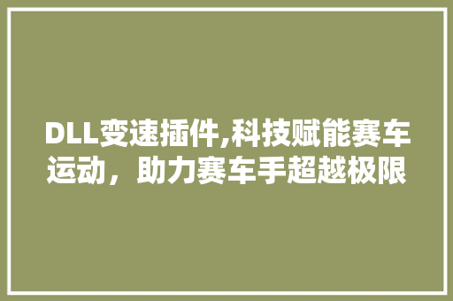 DLL变速插件,科技赋能赛车运动，助力赛车手超越极限