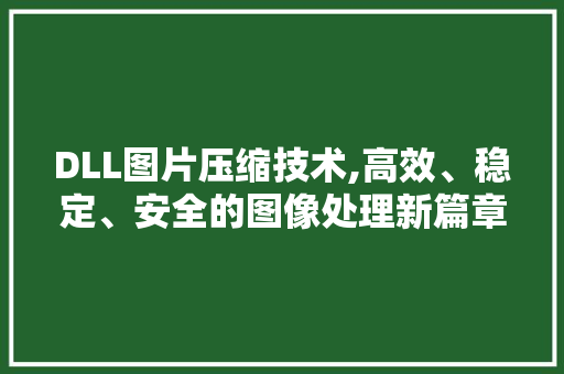 DLL图片压缩技术,高效、稳定、安全的图像处理新篇章 网站优化