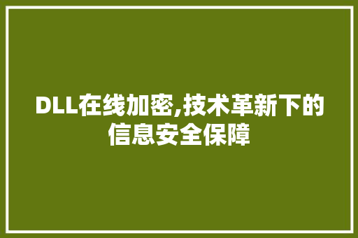 DLL在线加密,技术革新下的信息安全保障
