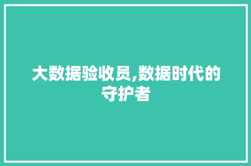 大数据验收员,数据时代的守护者
