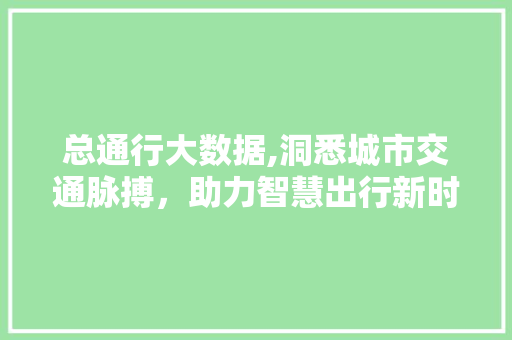 总通行大数据,洞悉城市交通脉搏，助力智慧出行新时代 小程序开发