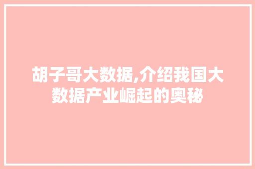 胡子哥大数据,介绍我国大数据产业崛起的奥秘
