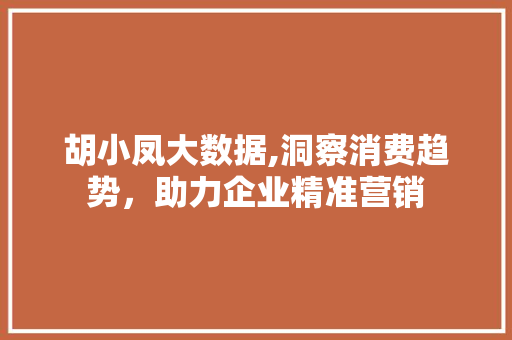 胡小凤大数据,洞察消费趋势，助力企业精准营销 搜狗优化