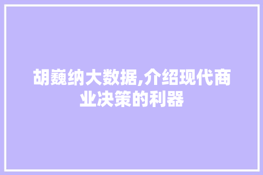 胡巍纳大数据,介绍现代商业决策的利器