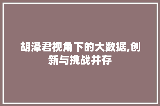 胡泽君视角下的大数据,创新与挑战并存
