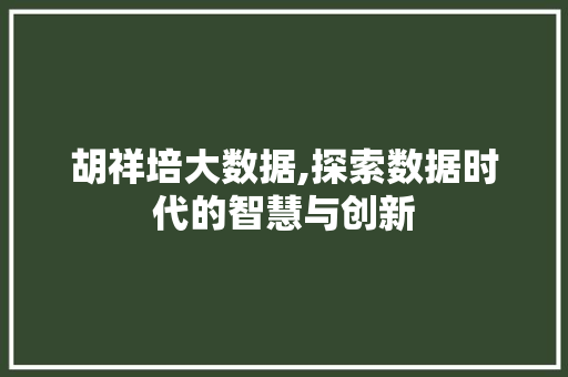 胡祥培大数据,探索数据时代的智慧与创新