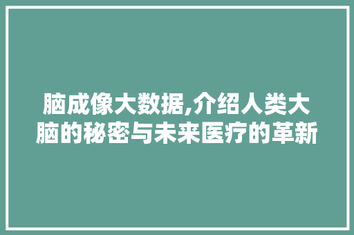 脑成像大数据,介绍人类大脑的秘密与未来医疗的革新 小程序开发