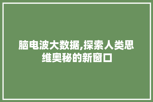 脑电波大数据,探索人类思维奥秘的新窗口 seo技术