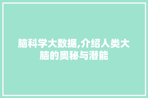 脑科学大数据,介绍人类大脑的奥秘与潜能