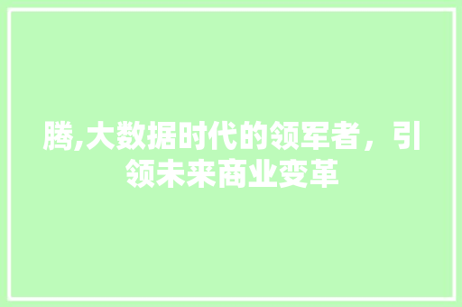 腾,大数据时代的领军者，引领未来商业变革 360搜优化