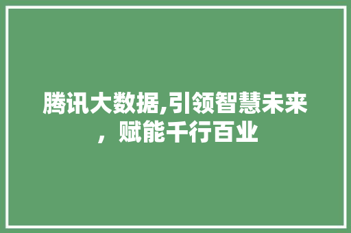 腾讯大数据,引领智慧未来，赋能千行百业 360搜优化