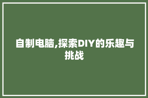 自制电脑,探索DIY的乐趣与挑战 英文谷歌算法