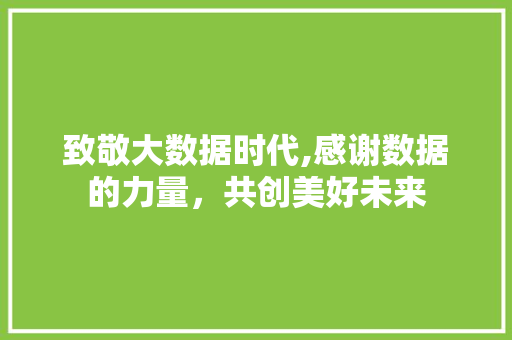 致敬大数据时代,感谢数据的力量，共创美好未来