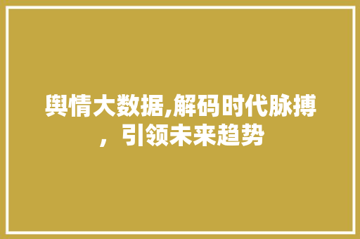 舆情大数据,解码时代脉搏，引领未来趋势