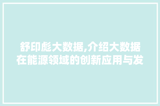 舒印彪大数据,介绍大数据在能源领域的创新应用与发展前景