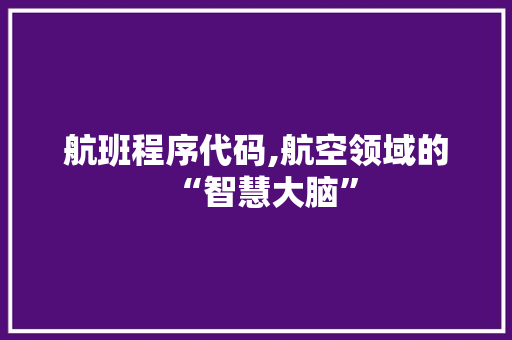 航班程序代码,航空领域的“智慧大脑”
