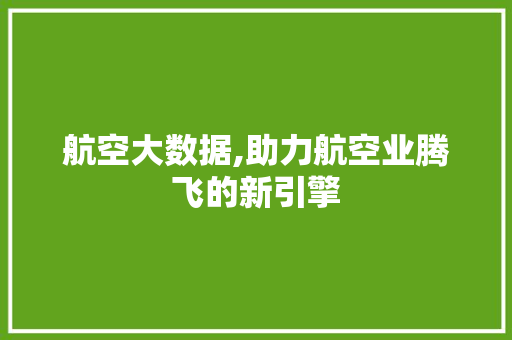 航空大数据,助力航空业腾飞的新引擎