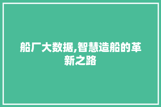 船厂大数据,智慧造船的革新之路