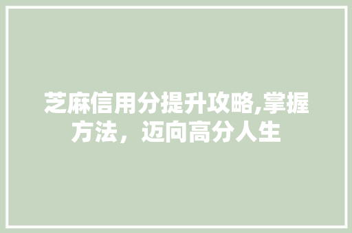 芝麻信用分提升攻略,掌握方法，迈向高分人生