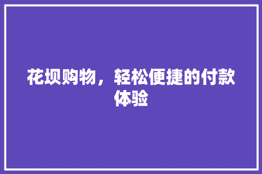 花坝购物，轻松便捷的付款体验