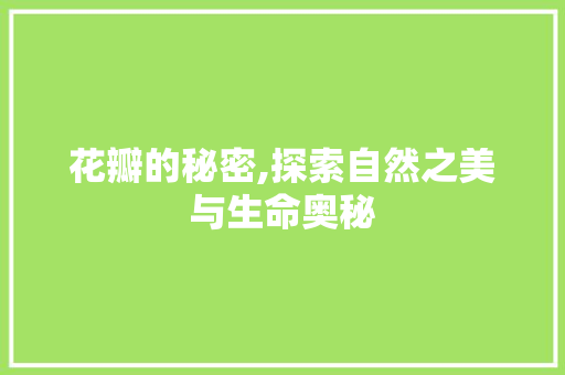 花瓣的秘密,探索自然之美与生命奥秘
