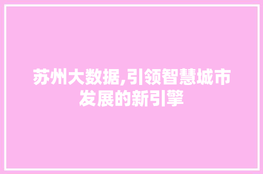 苏州大数据,引领智慧城市发展的新引擎 网站开发