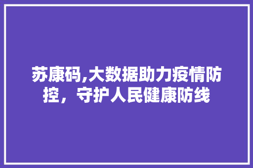 苏康码,大数据助力疫情防控，守护人民健康防线