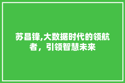 苏昌锋,大数据时代的领航者，引领智慧未来