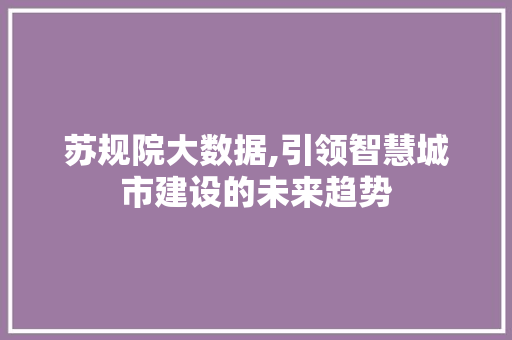 苏规院大数据,引领智慧城市建设的未来趋势
