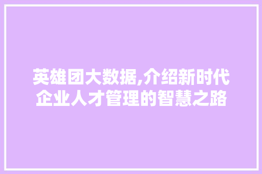 英雄团大数据,介绍新时代企业人才管理的智慧之路