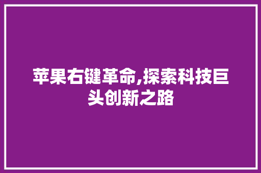 苹果右键革命,探索科技巨头创新之路
