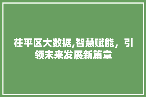 茌平区大数据,智慧赋能，引领未来发展新篇章