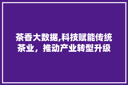 茶香大数据,科技赋能传统茶业，推动产业转型升级