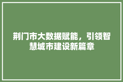 荆门市大数据赋能，引领智慧城市建设新篇章